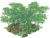 避暑竹林.png