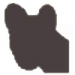 召唤灵猫.png