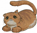 憨憨小黄猫.png