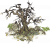 鸦雀枯木.png