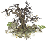 鸦雀枯木.png