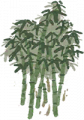 竹.png