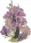 望春杜鹃.png