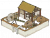制伞坊.png