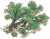 竹桃残碑.png