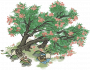 竹桃残碑.png