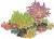 海葵小景.png