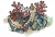 贝壳珠栏.png