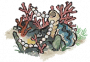 贝壳珠栏.png