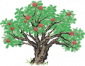 杨梅树6.png