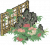 黄石丛牡丹.png
