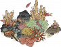 珊瑚工坊.png