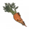 道具 胡萝卜.png