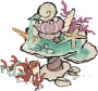 贝壳水泉.png
