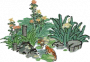 藻间锦鲤.png