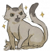 顺毛乖乖猫.png