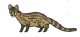 灵猫.png