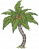 椰子树.png