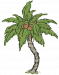 椰子树.png
