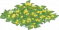 暖暖黄花圃.png