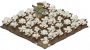 棉花田.png
