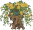 迎春盆景.png