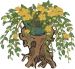 迎春盆景.png