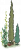 海草5.png