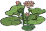 亭亭荷花.png