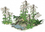 野百合.png