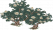 清雅山茶花.png