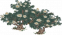 清雅山茶花.png