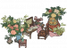 椒花牡丹.png