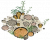 潮间拾趣.png