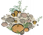潮间拾趣.png