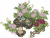 独坐观牡丹.png