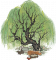 古柳迎春.png