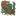 海草.png