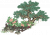 黑牡丹花径.png