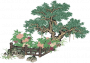 黑牡丹花径.png