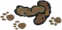 狗屎.png
