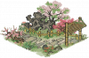 春园小径.png
