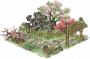 春园小径.png