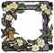 戴胜