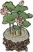 荷花盆栽.png