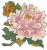 洛阳牡丹.png