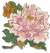 洛阳牡丹.png