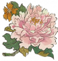 洛阳牡丹.png