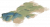 流茵坡.png
