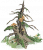 朽树.png